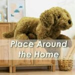 Cockapoo Soft Toy Dog Red Plush Cuddly Soft Furry 45cm Red Floppy Cockapoo - Image 5
