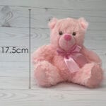 Pink or Blue Character Plush Toy