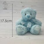 PMS New Baby Bear Soft Toy - 25cm, Embroidered Features, Pink or Blue - Image 4