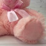 PMS New Baby Bear Soft Toy - 25cm, Embroidered Features, Pink or Blue - Image 5